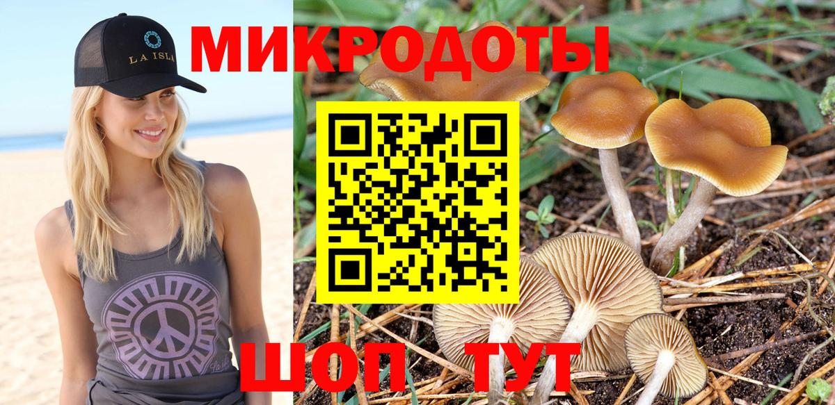 Псилоцибиновые грибы Cubensis Ливны