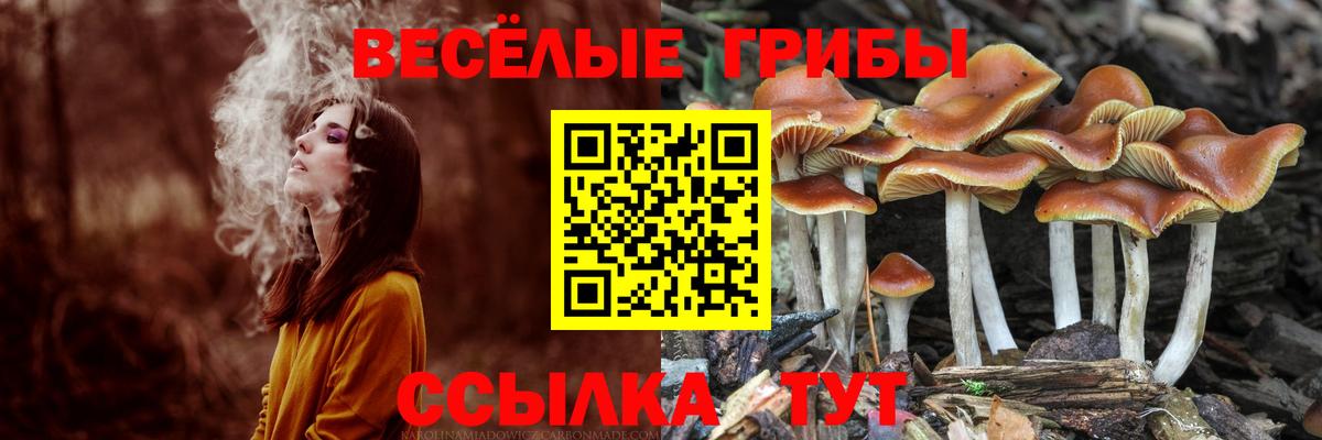 Ливны  Псилоцибиновые грибы мухоморы  Вход с VPN  Галлюциногенные грибы мухоморы 